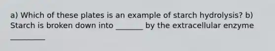 a) Which of these plates is an example of starch hydrolysis? b) Starch is broken down into _______ by the extracellular enzyme _________