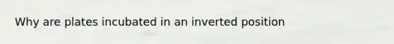 Why are plates incubated in an inverted position
