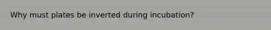 Why must plates be inverted during incubation?