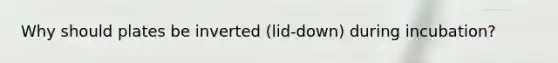 Why should plates be inverted (lid-down) during incubation?