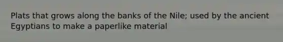 Plats that grows along the banks of the Nile; used by the ancient Egyptians to make a paperlike material
