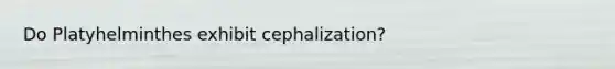 Do Platyhelminthes exhibit cephalization?