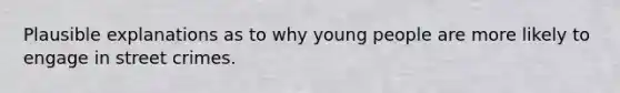 Plausible explanations as to why young people are more likely to engage in street crimes.