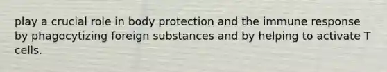 play a crucial role in body protection and the immune response by phagocytizing foreign substances and by helping to activate T cells.