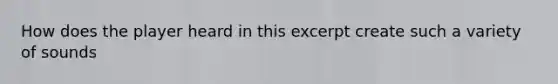 How does the player heard in this excerpt create such a variety of sounds