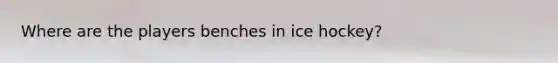 Where are the players benches in ice hockey?