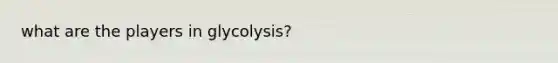 what are the players in glycolysis?