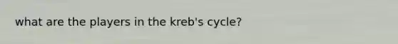 what are the players in the kreb's cycle?