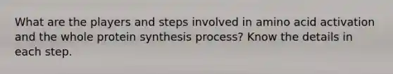 What are the players and steps involved in amino acid activation and the whole protein synthesis process? Know the details in each step.