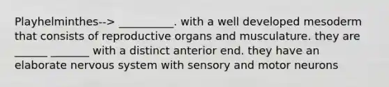 Playhelminthes--> __________. with a well developed mesoderm that consists of reproductive organs and musculature. they are ______ _______ with a distinct anterior end. they have an elaborate <a href='https://www.questionai.com/knowledge/kThdVqrsqy-nervous-system' class='anchor-knowledge'>nervous system</a> with sensory and motor neurons