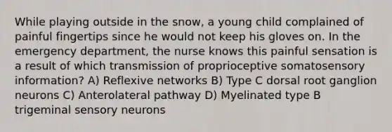 While playing outside in the snow, a young child complained of painful fingertips since he would not keep his gloves on. In the emergency department, the nurse knows this painful sensation is a result of which transmission of proprioceptive somatosensory information? A) Reflexive networks B) Type C dorsal root ganglion neurons C) Anterolateral pathway D) Myelinated type B trigeminal sensory neurons