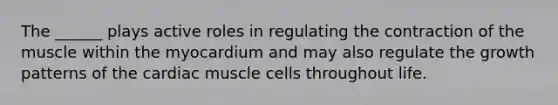 The ______ plays active roles in regulating the contraction of the muscle within the myocardium and may also regulate the growth patterns of the cardiac muscle cells throughout life.