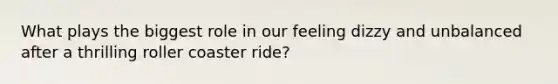 What plays the biggest role in our feeling dizzy and unbalanced after a thrilling roller coaster ride?