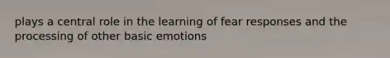 plays a central role in the learning of fear responses and the processing of other basic emotions