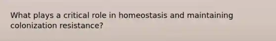 What plays a critical role in homeostasis and maintaining colonization resistance?