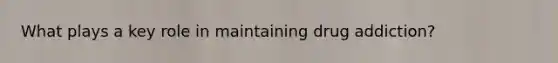 What plays a key role in maintaining drug addiction?