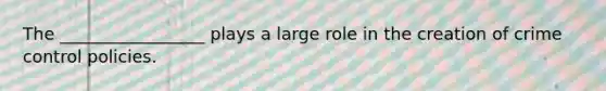 The _________________ plays a large role in the creation of crime control policies.