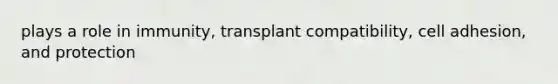 plays a role in immunity, transplant compatibility, cell adhesion, and protection