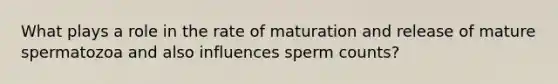 What plays a role in the rate of maturation and release of mature spermatozoa and also influences sperm counts?