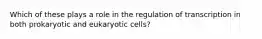 Which of these plays a role in the regulation of transcription in both prokaryotic and eukaryotic cells?