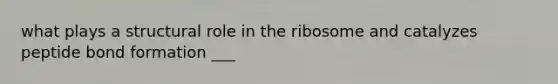 what plays a structural role in the ribosome and catalyzes peptide bond formation ___