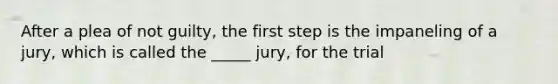 After a plea of not guilty, the first step is the impaneling of a jury, which is called the _____ jury, for the trial