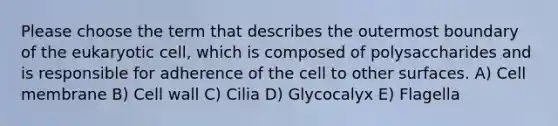 Please choose the term that describes the outermost boundary of the eukaryotic cell, which is composed of polysaccharides and is responsible for adherence of the cell to other surfaces. A) Cell membrane B) Cell wall C) Cilia D) Glycocalyx E) Flagella