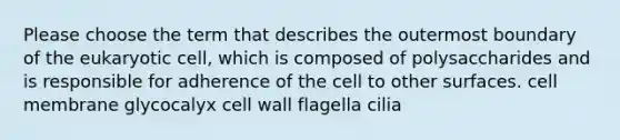 Please choose the term that describes the outermost boundary of the eukaryotic cell, which is composed of polysaccharides and is responsible for adherence of the cell to other surfaces. cell membrane glycocalyx cell wall flagella cilia