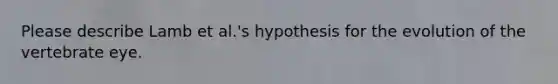 Please describe Lamb et al.'s hypothesis for the evolution of the vertebrate eye.