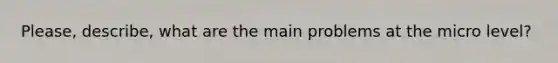 Please, describe, what are the main problems at the micro level?