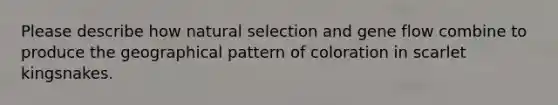 Please describe how natural selection and gene flow combine to produce the geographical pattern of coloration in scarlet kingsnakes.