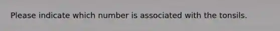 Please indicate which number is associated with the tonsils.