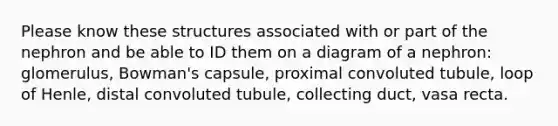 Please know these structures associated with or part of the nephron and be able to ID them on a diagram of a nephron: glomerulus, Bowman's capsule, proximal convoluted tubule, loop of Henle, distal convoluted tubule, collecting duct, vasa recta.