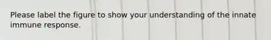 Please label the figure to show your understanding of the innate immune response.