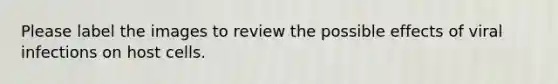 Please label the images to review the possible effects of viral infections on host cells.
