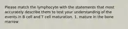 Please match the lymphocyte with the statements that most accurately describe them to test your understanding of the events in B cell and T cell maturation. 1. mature in the bone marrow