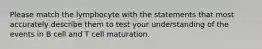 Please match the lymphocyte with the statements that most accurately describe them to test your understanding of the events in B cell and T cell maturation.