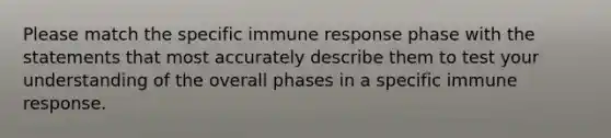 Please match the specific immune response phase with the statements that most accurately describe them to test your understanding of the overall phases in a specific immune response.