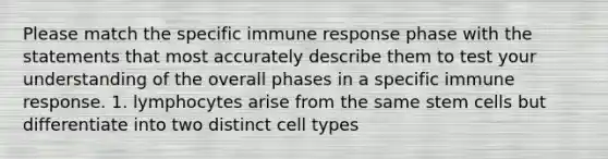 Please match the specific immune response phase with the statements that most accurately describe them to test your understanding of the overall phases in a specific immune response. 1. lymphocytes arise from the same stem cells but differentiate into two distinct cell types