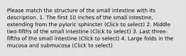 Please match the structure of the small intestine with its description. 1. The first 10 inches of the small intestine, extending from the pyloric sphincter (Click to select) 2. Middle two-fifths of the small intestine (Click to select) 3. Last three-fifths of the small intestine (Click to select) 4. Large folds in the mucosa and submucosa (Click to select)