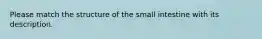 Please match the structure of the small intestine with its description.