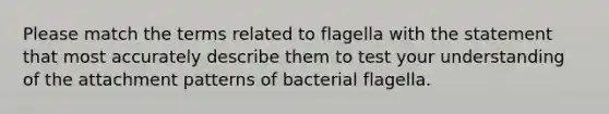 Please match the terms related to flagella with the statement that most accurately describe them to test your understanding of the attachment patterns of bacterial flagella.