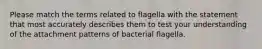 Please match the terms related to flagella with the statement that most accurately describes them to test your understanding of the attachment patterns of bacterial flagella.