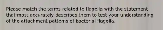 Please match the terms related to flagella with the statement that most accurately describes them to test your understanding of the attachment patterns of bacterial flagella.