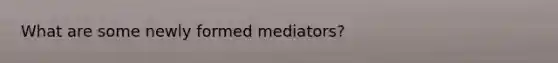 What are some newly formed mediators?