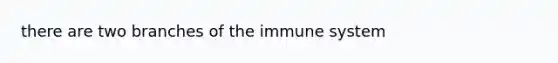 there are two branches of the immune system