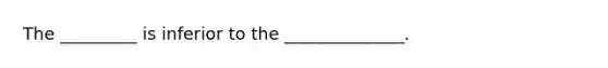 The _________ is inferior to the ______________.