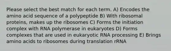 Please select the best match for each term. A) Encodes the amino acid sequence of a polypeptide B) With ribosomal proteins, makes up the ribosomes C) Forms the initiation complex with RNA polymerase in eukaryotes D) Forms complexes that are used in eukaryotic RNA processing E) Brings amino acids to ribosomes during translation rRNA