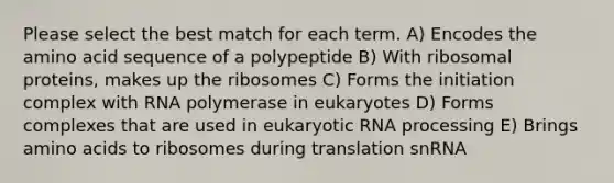 Please select the best match for each term. A) Encodes the amino acid sequence of a polypeptide B) With ribosomal proteins, makes up the ribosomes C) Forms the initiation complex with RNA polymerase in eukaryotes D) Forms complexes that are used in eukaryotic RNA processing E) Brings amino acids to ribosomes during translation snRNA