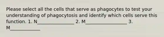 Please select all the cells that serve as phagocytes to test your understanding of phagocytosis and identify which cells serve this function. 1. N________________ 2. M__________________ 3. M_____________